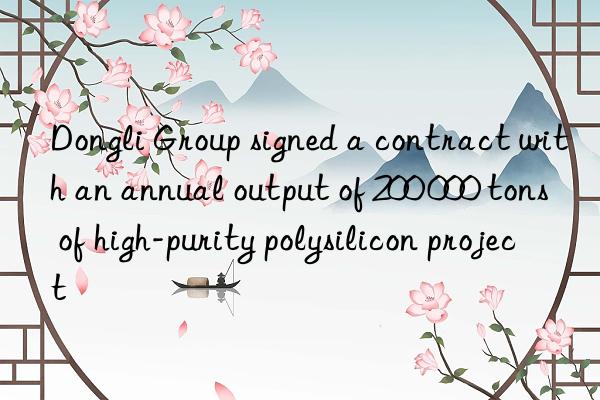 Dongli Group signed a contract with an annual output of 200 000 tons of high-purity polysilicon project