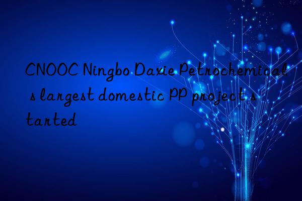 CNOOC Ningbo Daxie Petrochemical s largest domestic PP project started