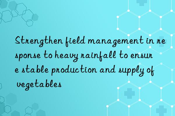 Strengthen field management in response to heavy rainfall to ensure stable production and supply of vegetables