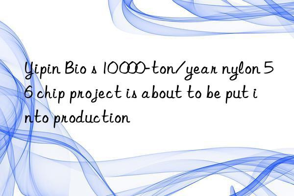 Yipin Bio s 10 000-ton/year nylon 56 chip project is about to be put into production