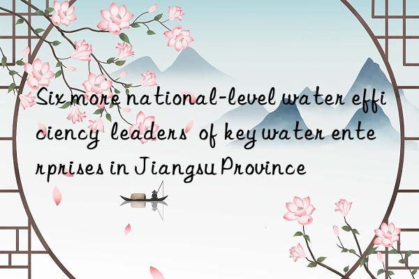 Six more national-level water efficiency  leaders  of key water enterprises in Jiangsu Province