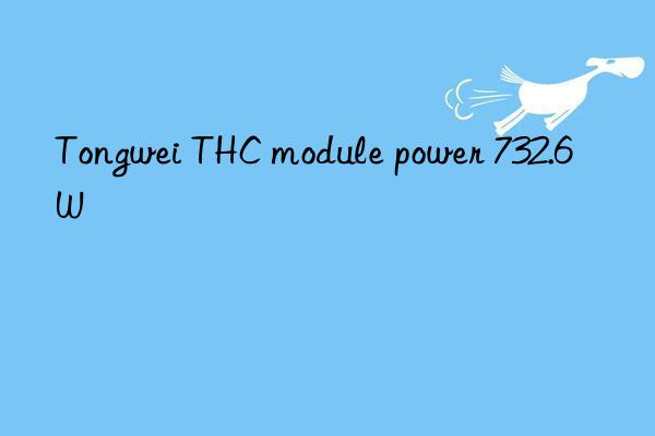 Tongwei THC module power 732.6W