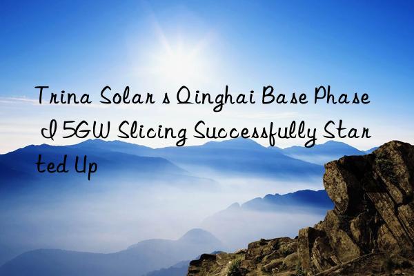 Trina Solar s Qinghai Base Phase I 5GW Slicing Successfully Started Up