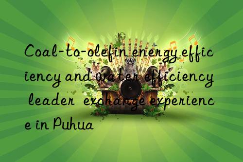 Coal-to-olefin energy efficiency and water efficiency  leader  exchange experience in Puhua