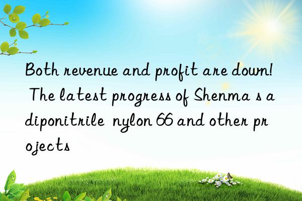 Both revenue and profit are down!  The latest progress of Shenma s adiponitrile  nylon 66 and other projects