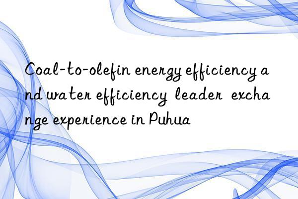 Coal-to-olefin energy efficiency and water efficiency  leader  exchange experience in Puhua