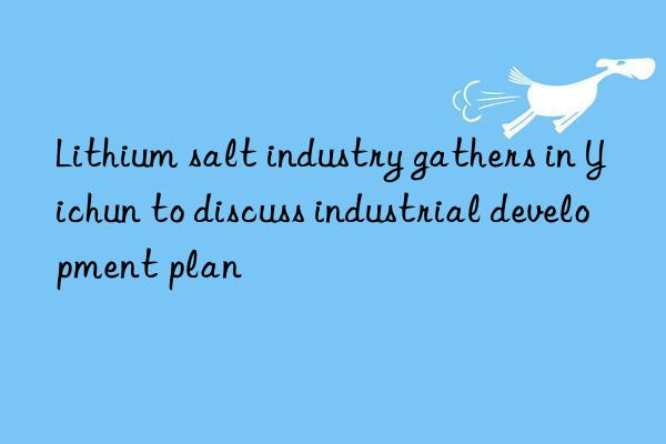 Lithium salt industry gathers in Yichun to discuss industrial development plan