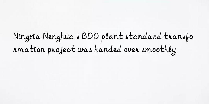 Ningxia Nenghua s BDO plant standard transformation project was handed over smoothly