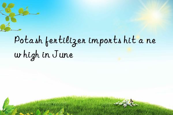 Potash fertilizer imports hit a new high in June