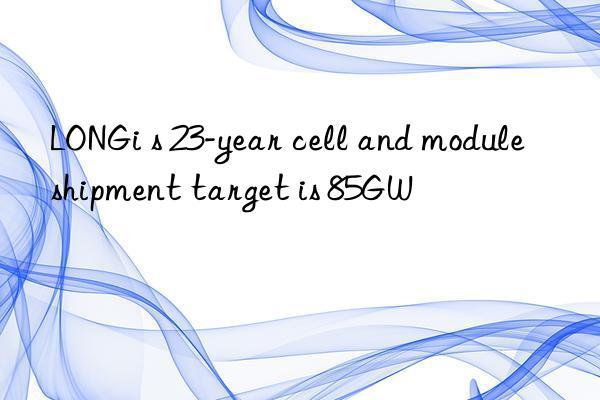 LONGi s 23-year cell and module shipment target is 85GW