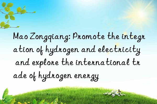 Mao Zongqiang: Promote the integration of hydrogen and electricity and explore the international trade of hydrogen energy