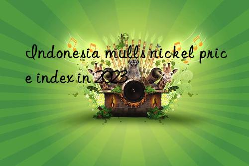 Indonesia mulls nickel price index in 2023