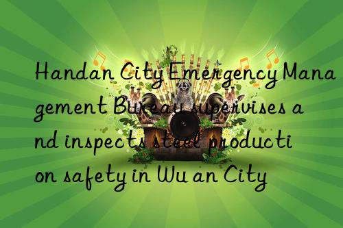 Handan City Emergency Management Bureau supervises and inspects steel production safety in Wu an City