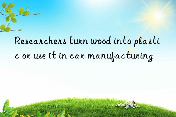 Researchers turn wood into plastic or use it in car manufacturing