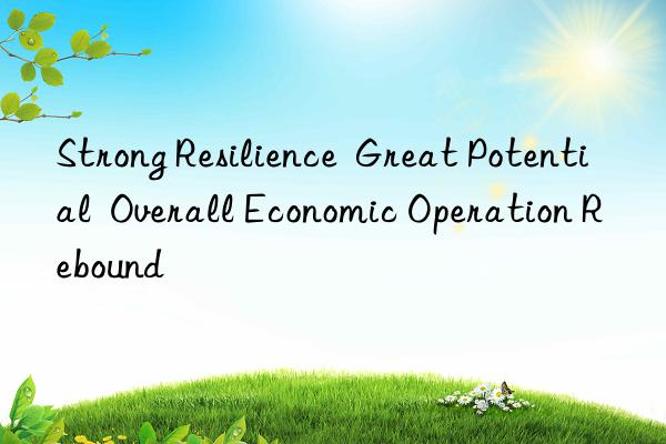 Strong Resilience  Great Potential  Overall Economic Operation Rebound