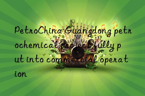 PetroChina Guangdong petrochemical project fully put into commercial operation