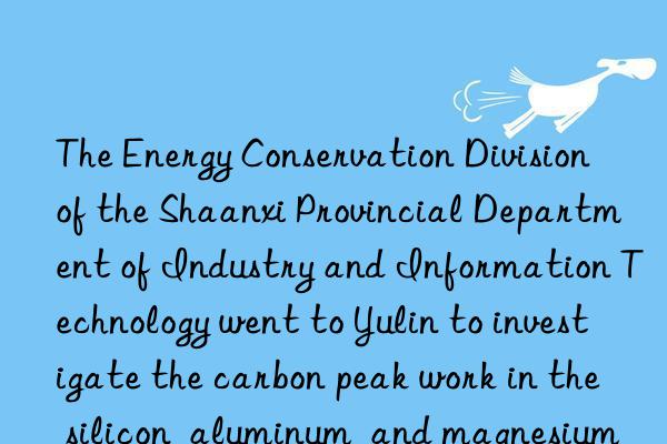 The Energy Conservation Division of the Shaanxi Provincial Department of Industry and Information Technology went to Yulin to investigate the carbon peak work in the silicon  aluminum  and magnesium industries