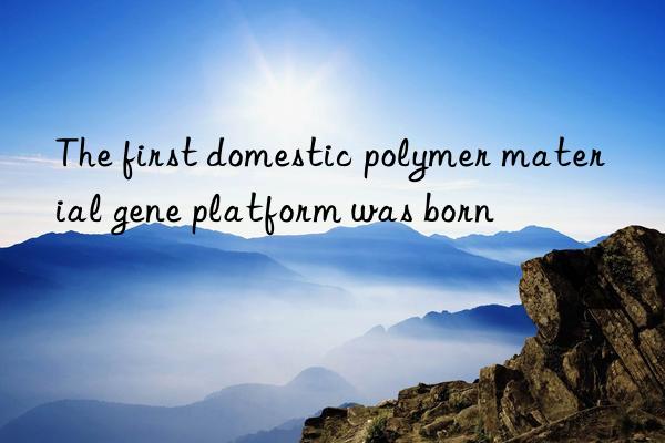 The first domestic polymer material gene platform was born