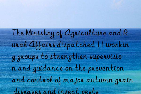 The Ministry of Agriculture and Rural Affairs dispatched 11 working groups to strengthen supervision and guidance on the prevention and control of major autumn grain diseases and insect pests