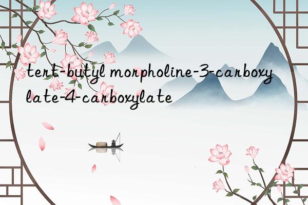 tert-butyl morpholine-3-carboxylate-4-carboxylate