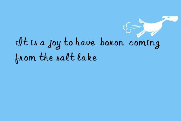 It is a joy to have  boron  coming from the salt lake