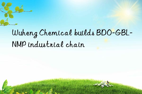 Wuheng Chemical builds BDO-GBL-NMP industrial chain