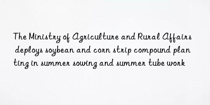 The Ministry of Agriculture and Rural Affairs deploys soybean and corn strip compound planting in summer sowing and summer tube work