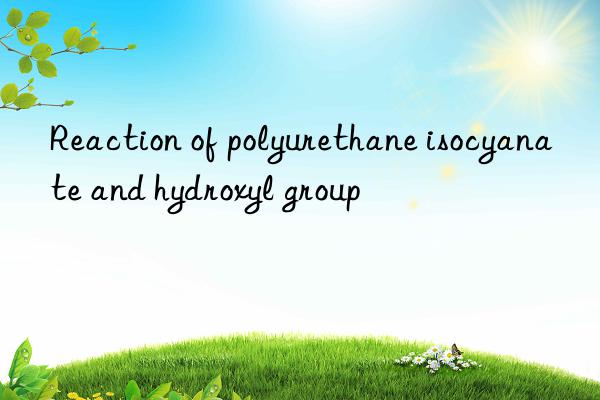 Reaction of polyurethane isocyanate and hydroxyl group