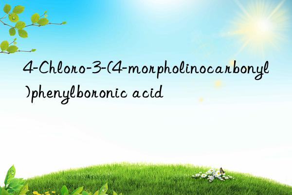 4-Chloro-3-(4-morpholinocarbonyl)phenylboronic acid