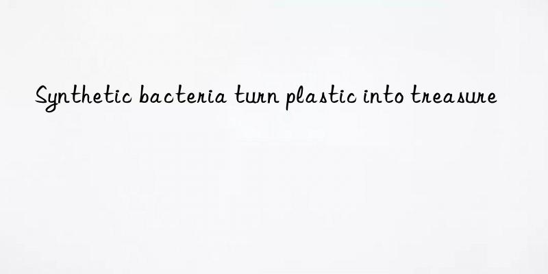 Synthetic bacteria turn plastic into treasure