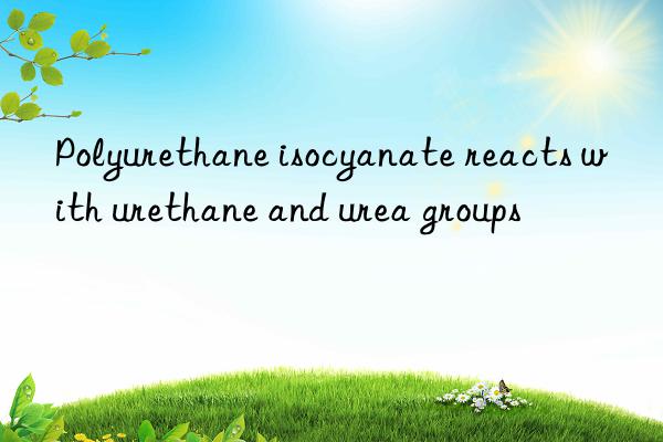 Polyurethane isocyanate reacts with urethane and urea groups