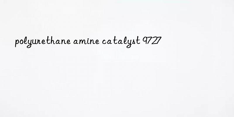 polyurethane amine catalyst 9727