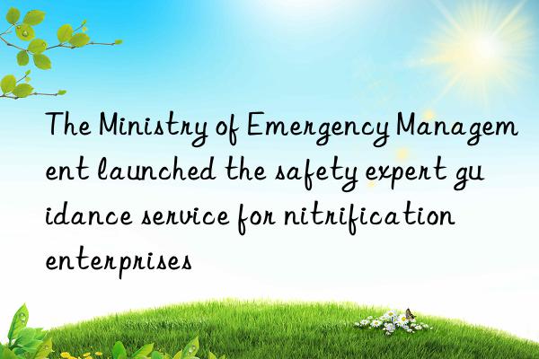 The Ministry of Emergency Management launched the safety expert guidance service for nitrification enterprises