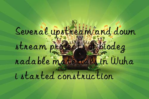 Several upstream and downstream projects of biodegradable materials in Wuhai started construction