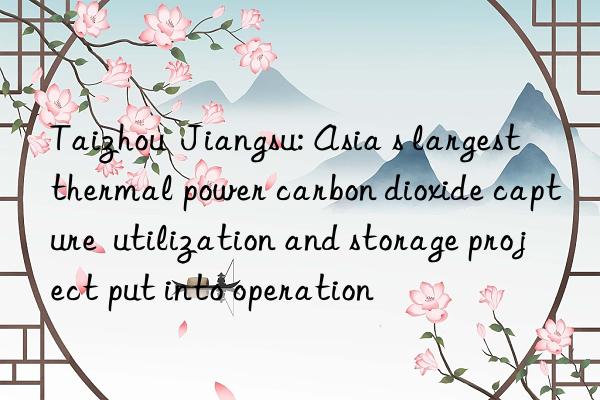 Taizhou  Jiangsu: Asia s largest thermal power carbon dioxide capture  utilization and storage project put into operation