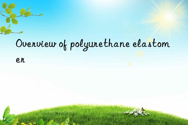 Overview of polyurethane elastomer