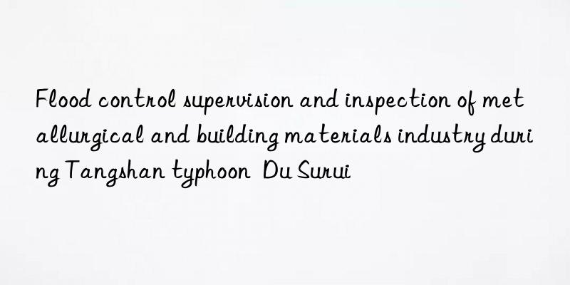 Flood control supervision and inspection of metallurgical and building materials industry during Tangshan typhoon  Du Surui