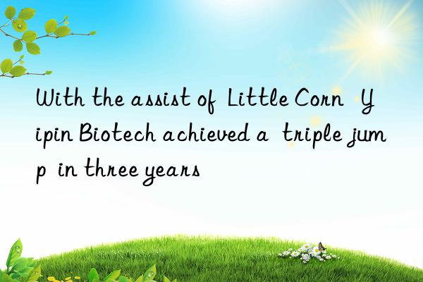 With the assist of  Little Corn   Yipin Biotech achieved a  triple jump  in three years