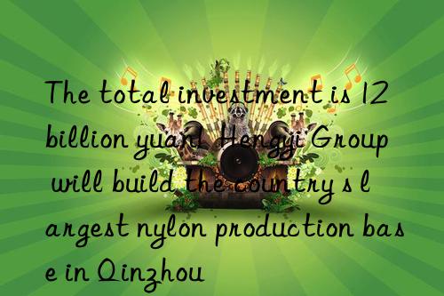 The total investment is 12 billion yuan!  Hengyi Group will build the country s largest nylon production base in Qinzhou