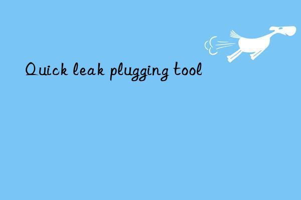 Quick leak plugging tool