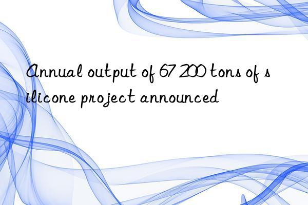 Annual output of 67 200 tons of silicone project announced