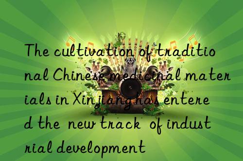 The cultivation of traditional Chinese medicinal materials in Xinjiang has entered the  new track  of industrial development