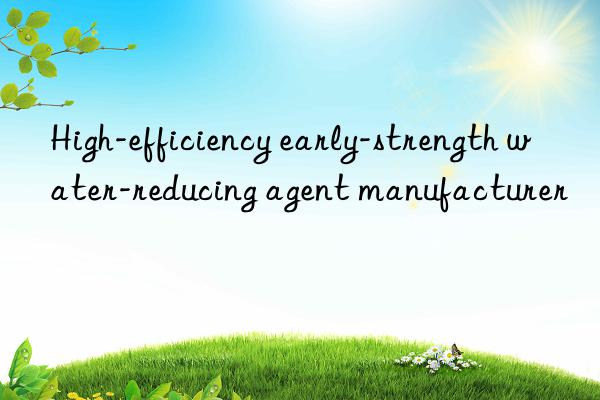 High-efficiency early-strength water-reducing agent manufacturer