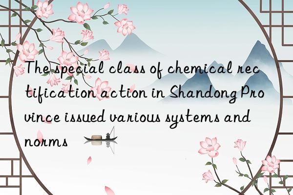 The special class of chemical rectification action in Shandong Province issued various systems and norms