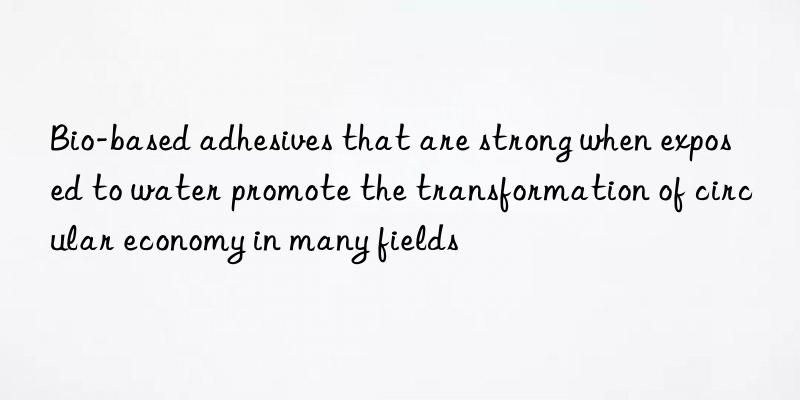 Bio-based adhesives that are strong when exposed to water promote the transformation of circular economy in many fields