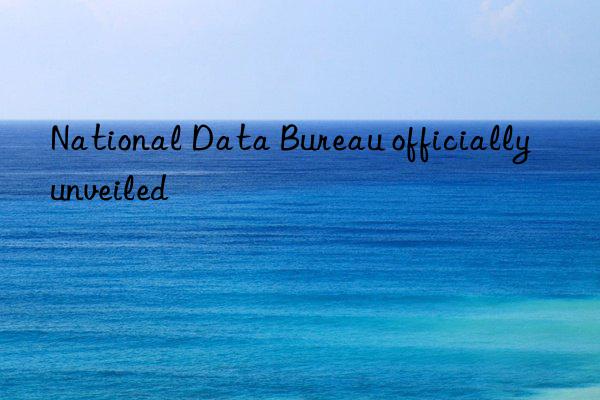 National Data Bureau officially unveiled