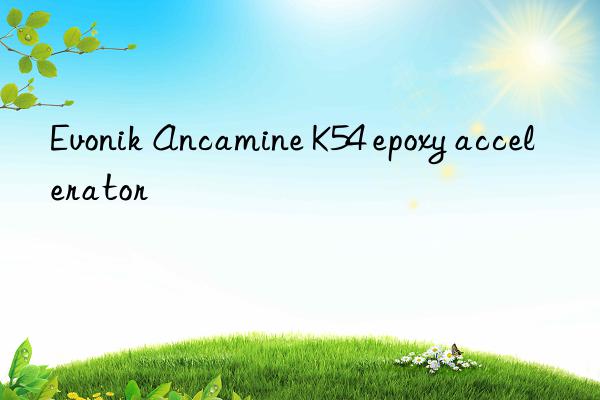 Evonik Ancamine K54 epoxy accelerator