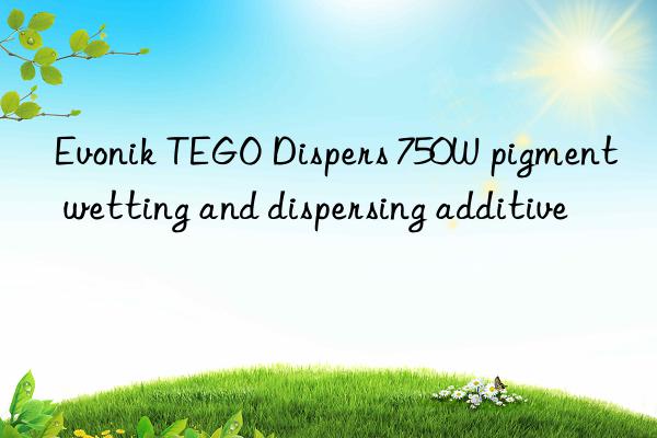 Evonik TEGO Dispers 750W pigment wetting and dispersing additive