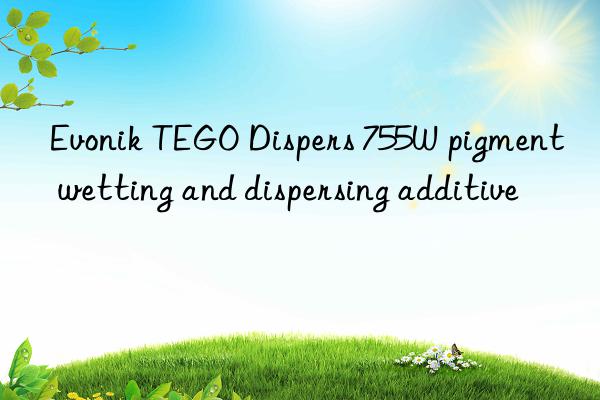 Evonik TEGO Dispers 755W pigment wetting and dispersing additive