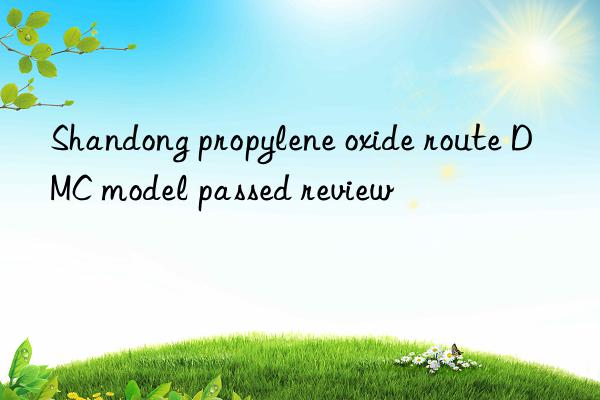 Shandong propylene oxide route DMC model passed review